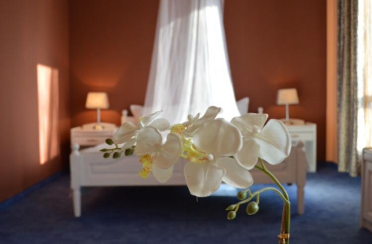 Hotel Shterev Σόποτ Εξωτερικό φωτογραφία